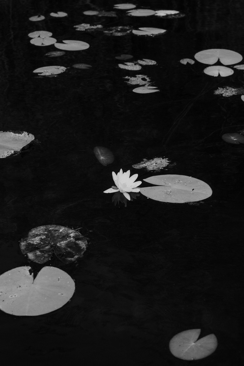 Everything Went Dark. Kristina Sergeeva