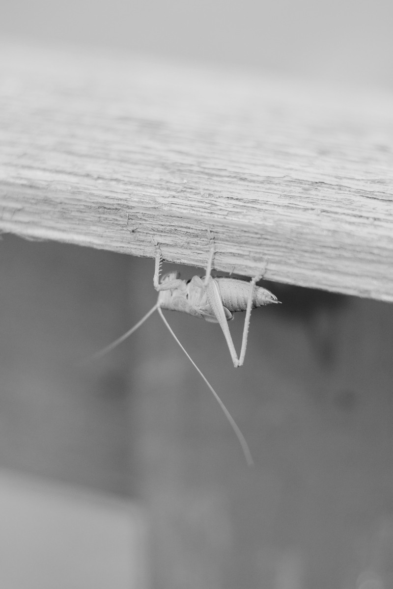 Everything Went Dark. Kristina Sergeeva