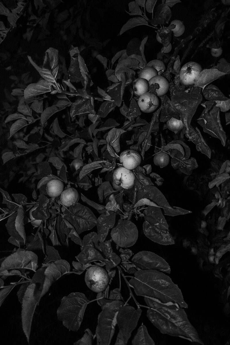 Everything Went Dark. Kristina Sergeeva