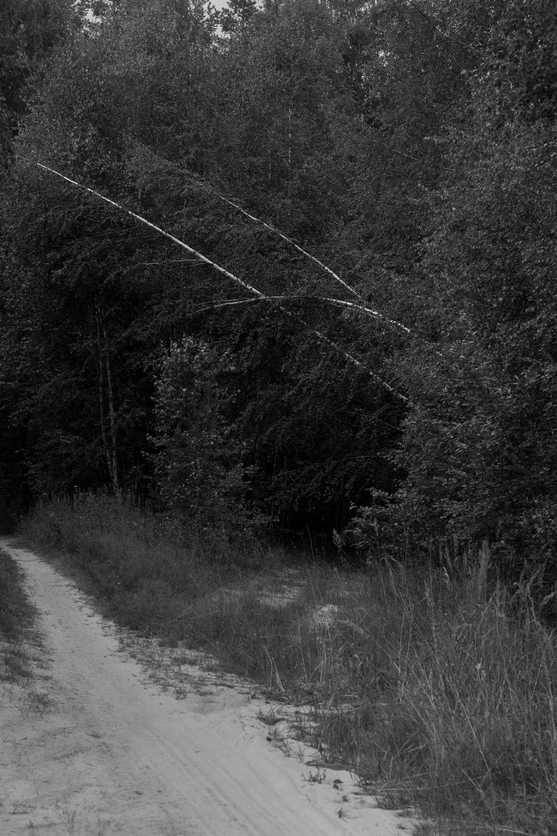 Everything Went Dark. Kristina Sergeeva