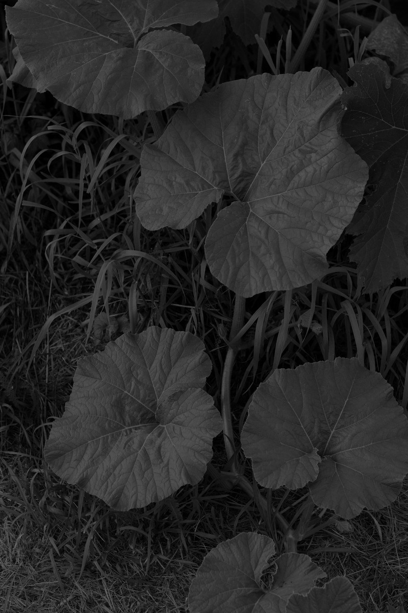 Everything Went Dark. Kristina Sergeeva