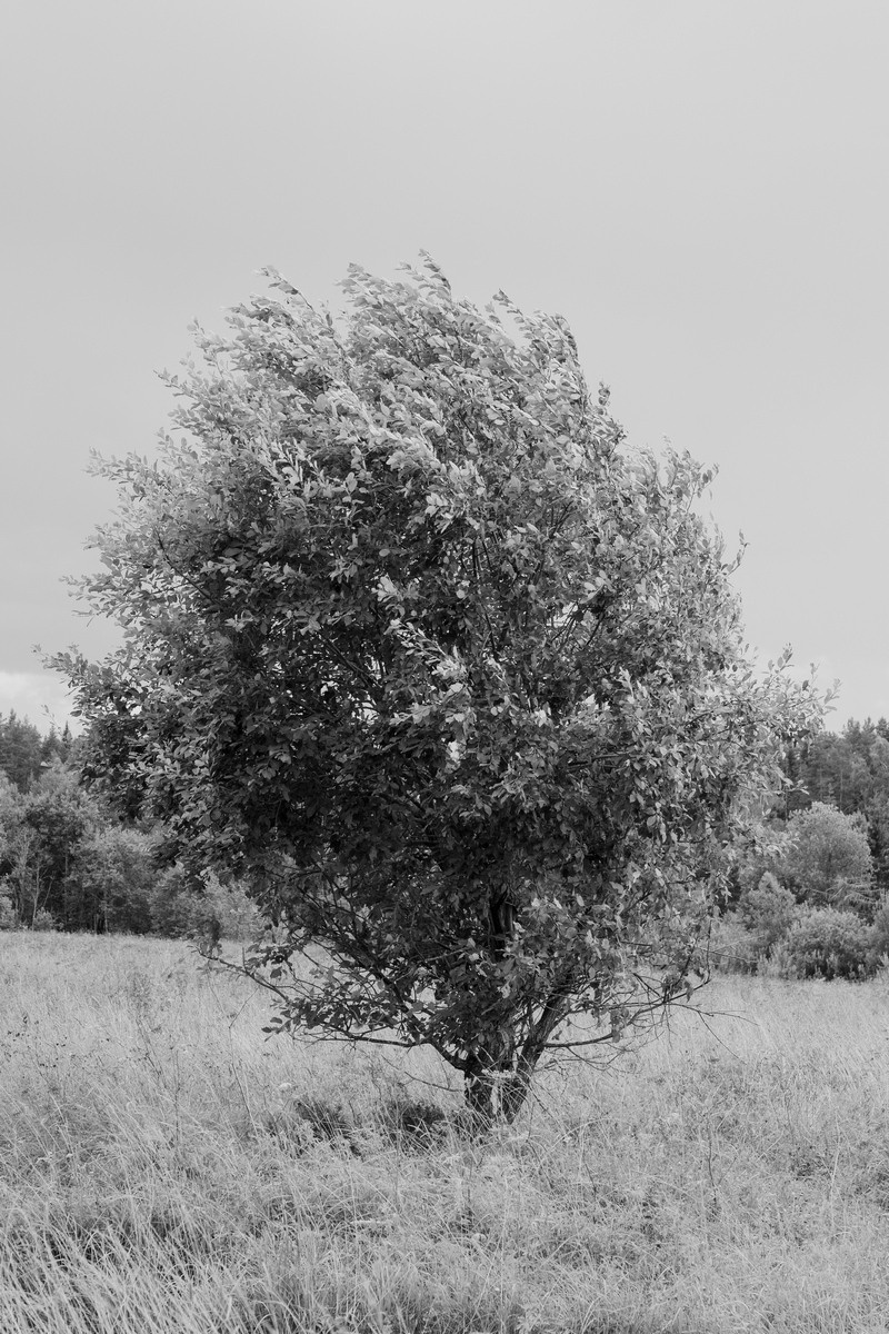 Everything Went Dark. Kristina Sergeeva