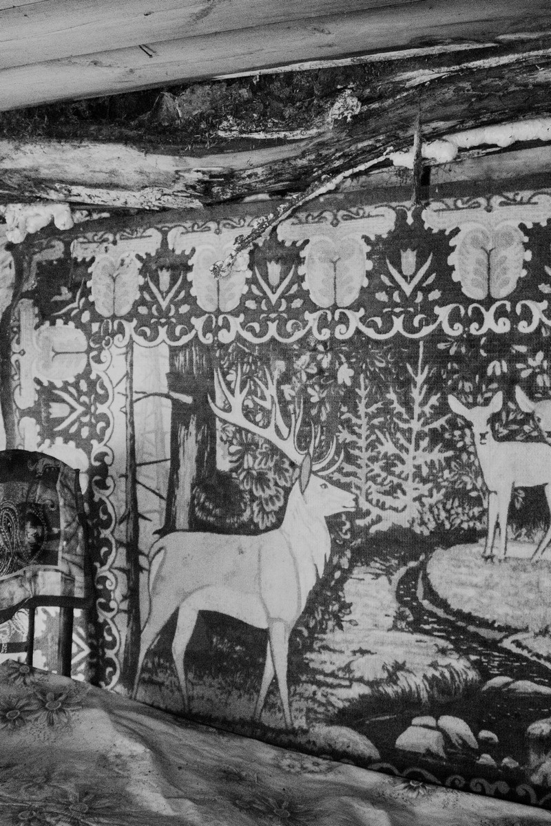 Everything Went Dark. Kristina Sergeeva