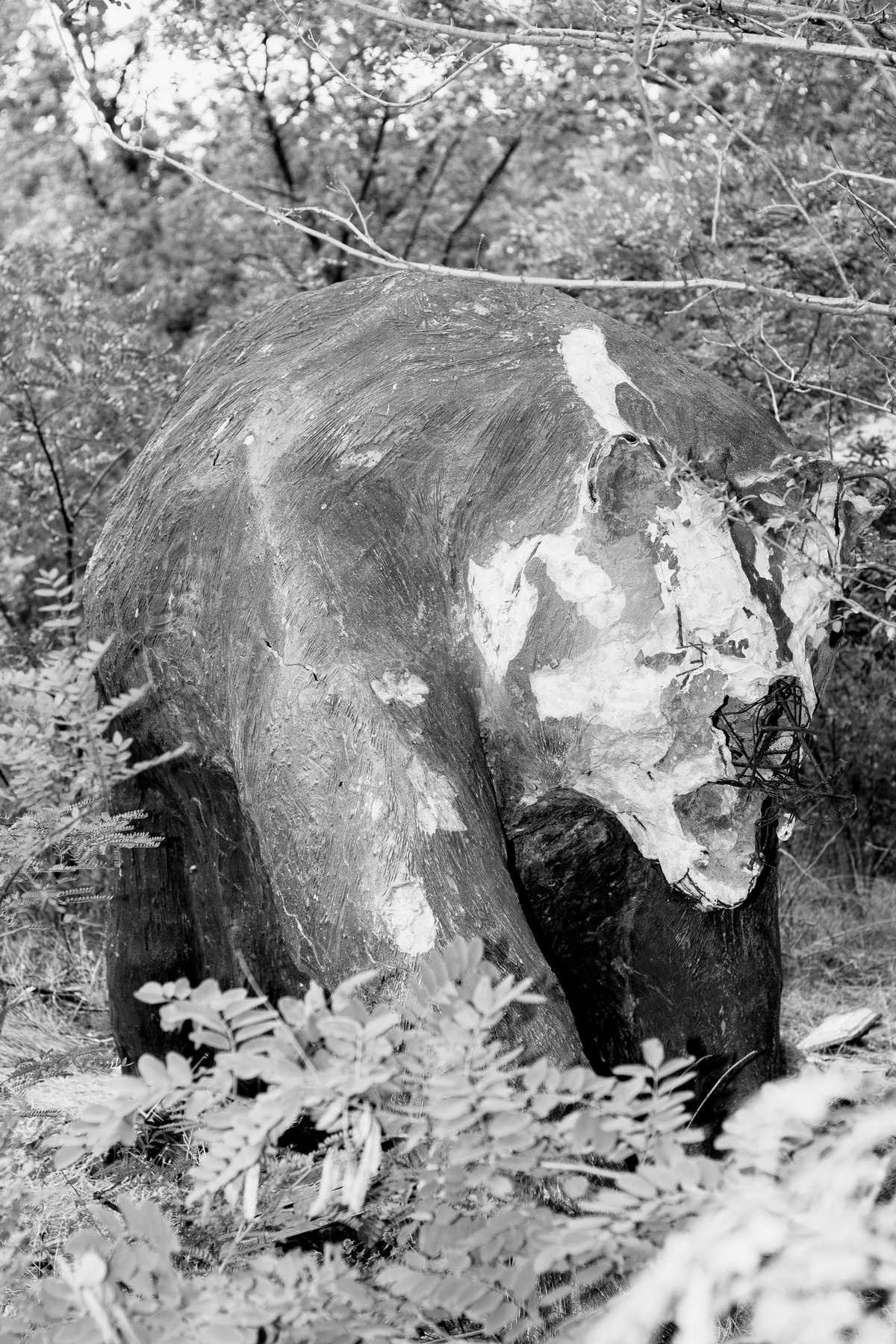 Shunya. Kristina Sergeeva