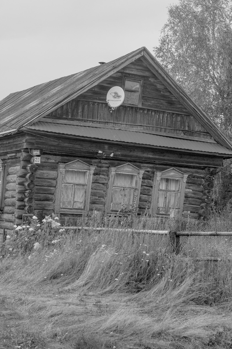 Everything Went Dark. Kristina Sergeeva