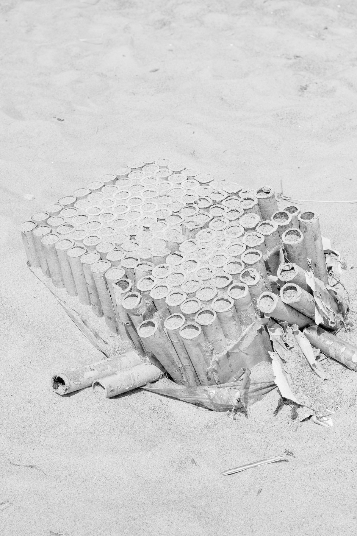 Shunya. Kristina Sergeeva