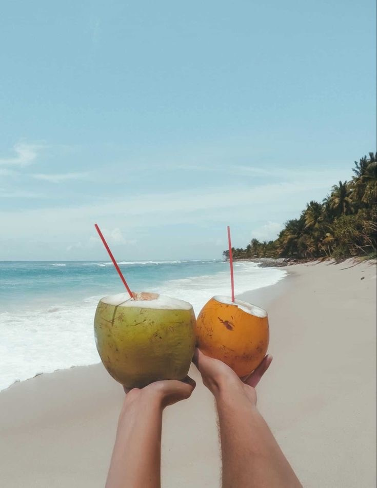 Шри Ланка март 2026 можно с детьми. Авторские туры для девушек. путешествия, тут можно купить тур