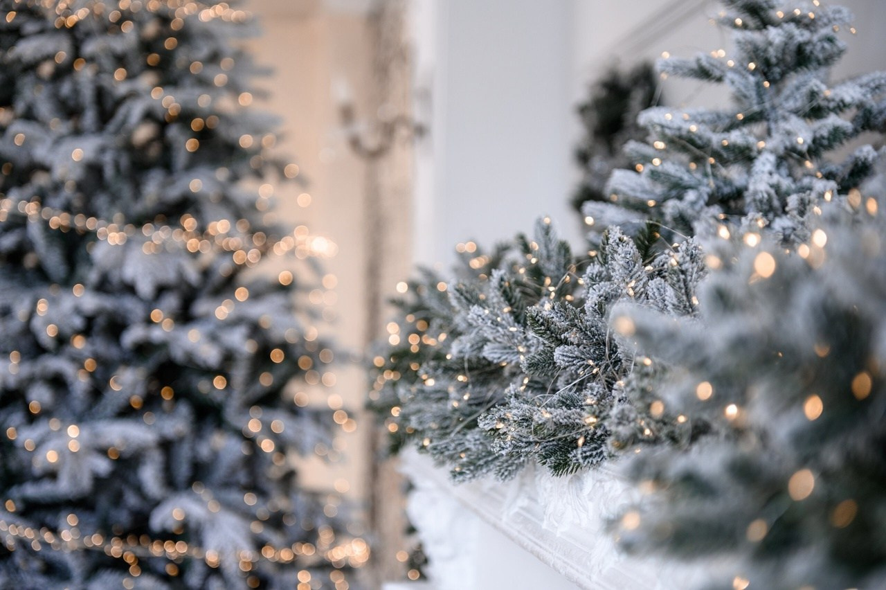 PRESTIGE. Фотограф Анастасия Крафт