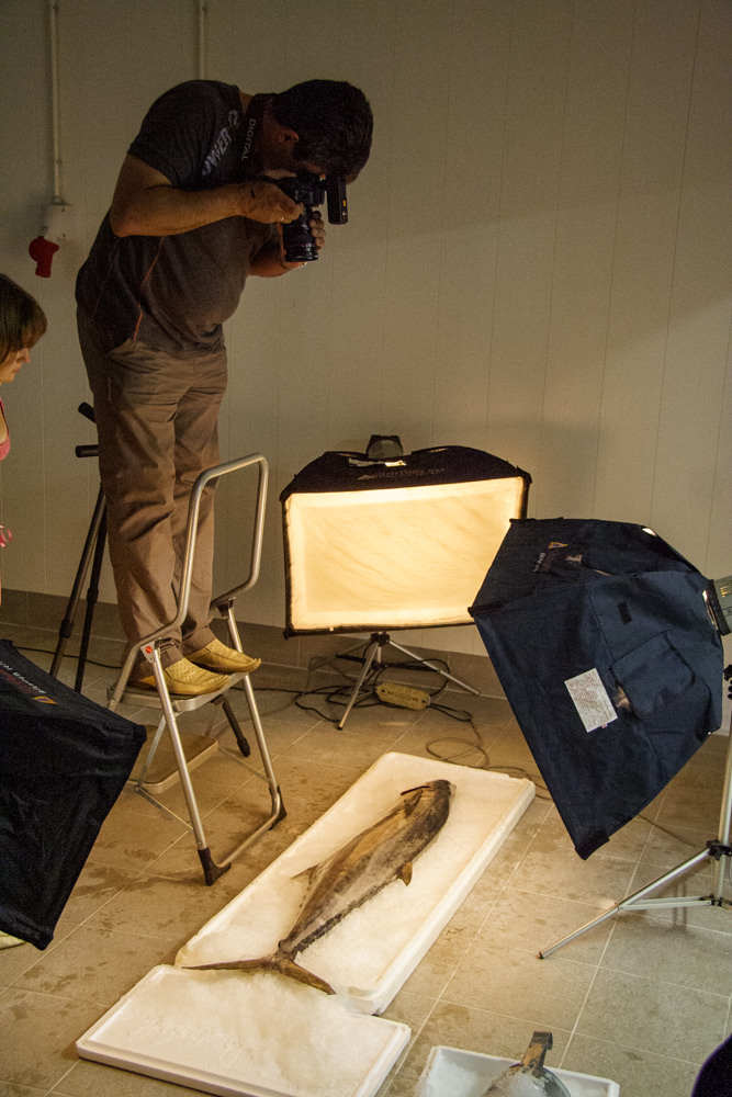 «dbstudio» — фотосъемка еды и продуктов питания