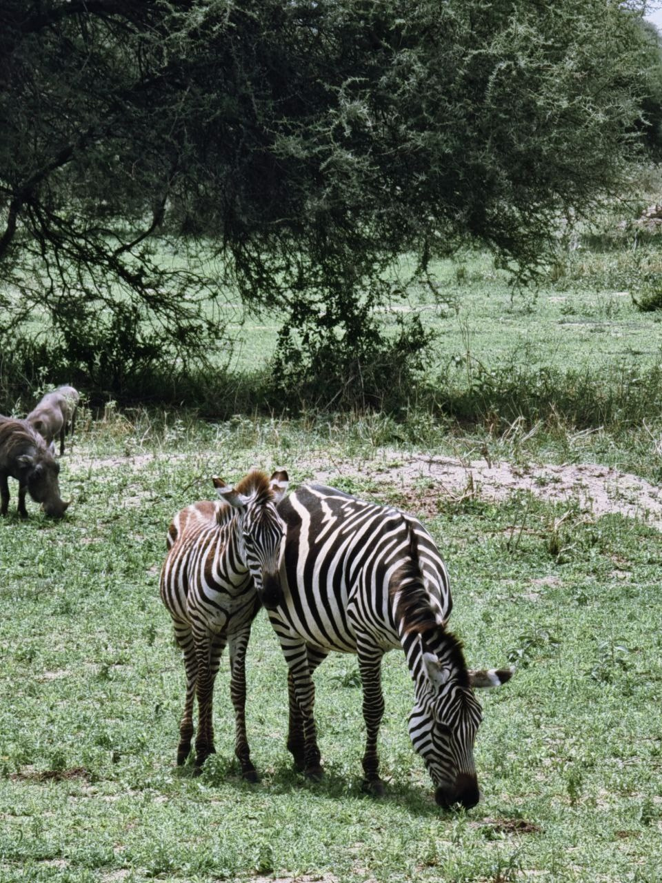 Консультации по продвижению и проявленности от натафото. Фотограф НатаФото (Наталья Яковенко) Дмитров Москва Питер