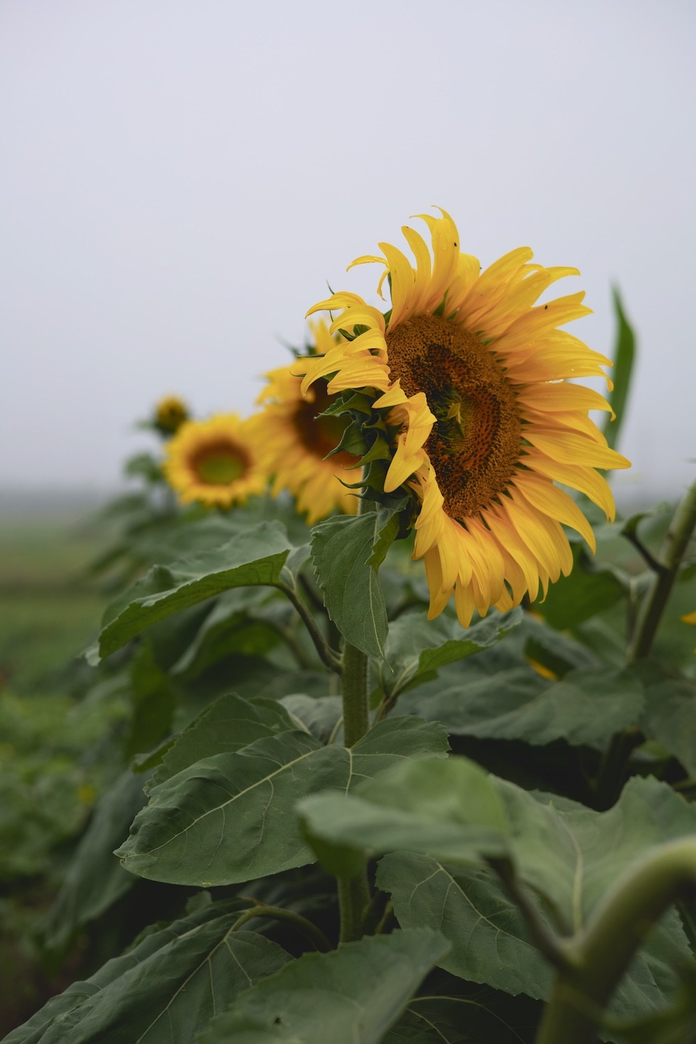 Истинка. Marina Kuzmina is a photography and video artist