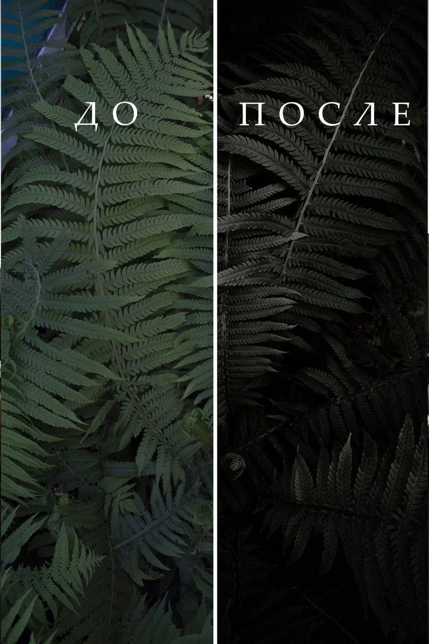 Пресеты «Мега пак». Фотограф Сергей Антонов Москва