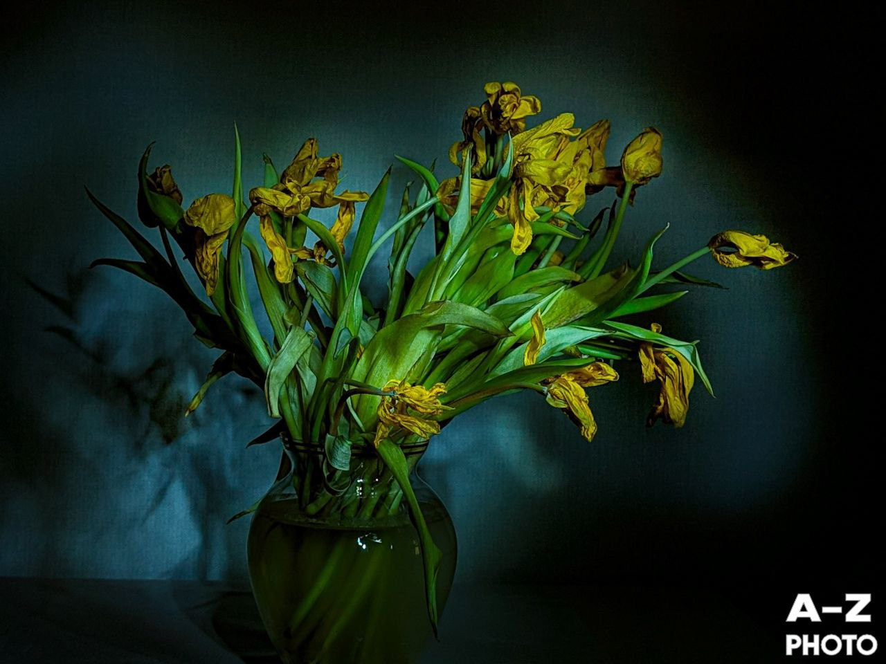 #ФОТОНЕДЕЛИ 16.03.2026. Женский семейный фотограф Тула Москва Захарова Анна