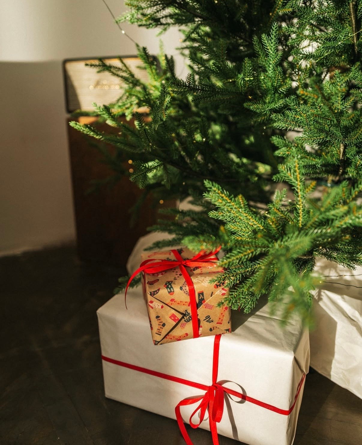 Новогодние фотостудии 2026. Семейный и детский фотограф в Бресте Дария Поляк