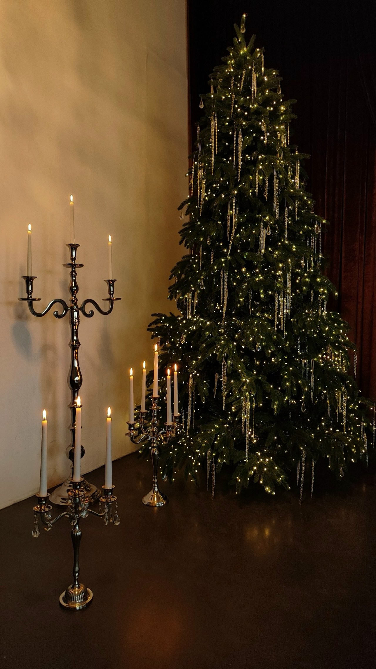 Новогодние залы. Семейный и женский фотограф в Воронеже Ольга Попова