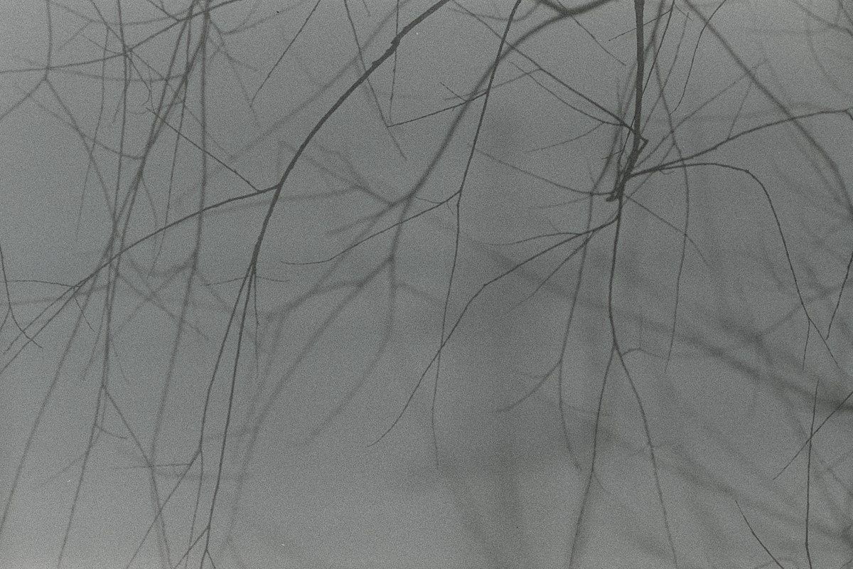 Несущественные детали. Иван Кобяков