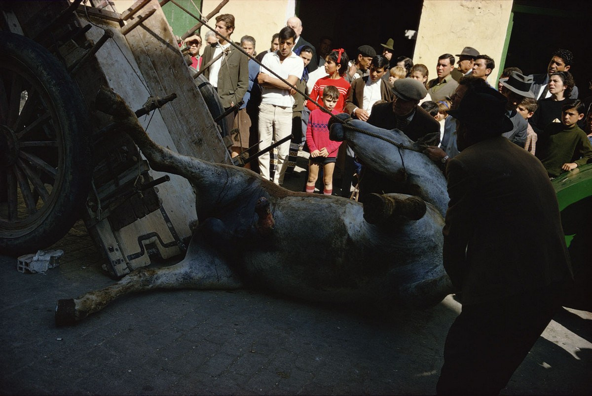 Joel Meyerowitz. STREETSAGA — уличный фотограф в Москве. Стрит, портреты, путешествия и студийная съёмка