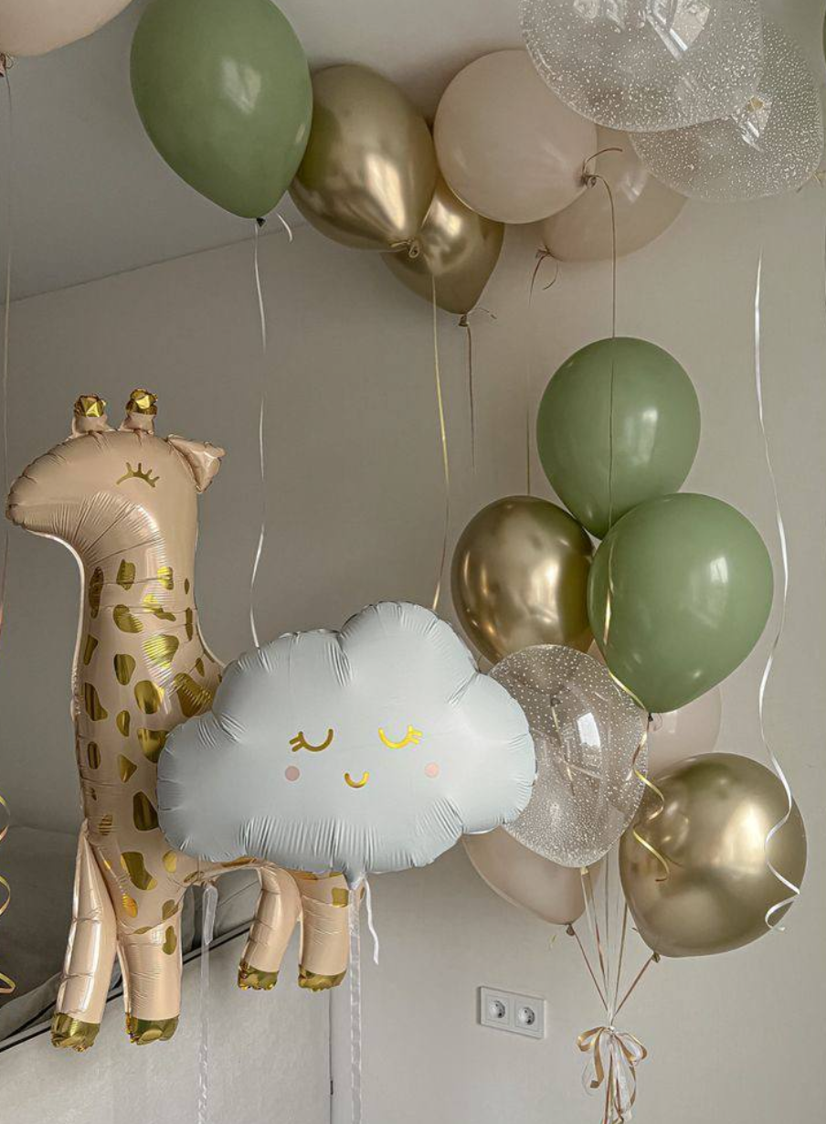 Odalazak iz porodilista prodavnica balona Novi Sad prodavnica balona Beograd. Шары с гелием, фотозоны Нови Сад Белград. Balone i dekoracije od balona Novi Sad Beograd