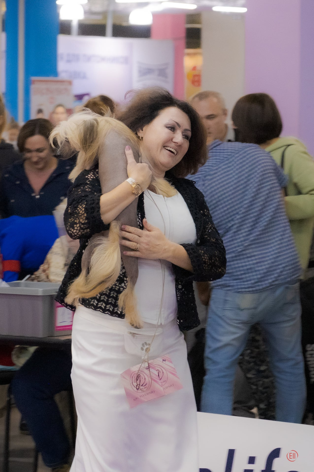 27.09.2020. Г.Москва, КЛС "Голдрайз", монопородная выставка, судья Абракимов Шамиль Масумович. Купер - CW, ЮКЧК, ЛЮ, BOS. Хендлер Татьяна Чистонова.