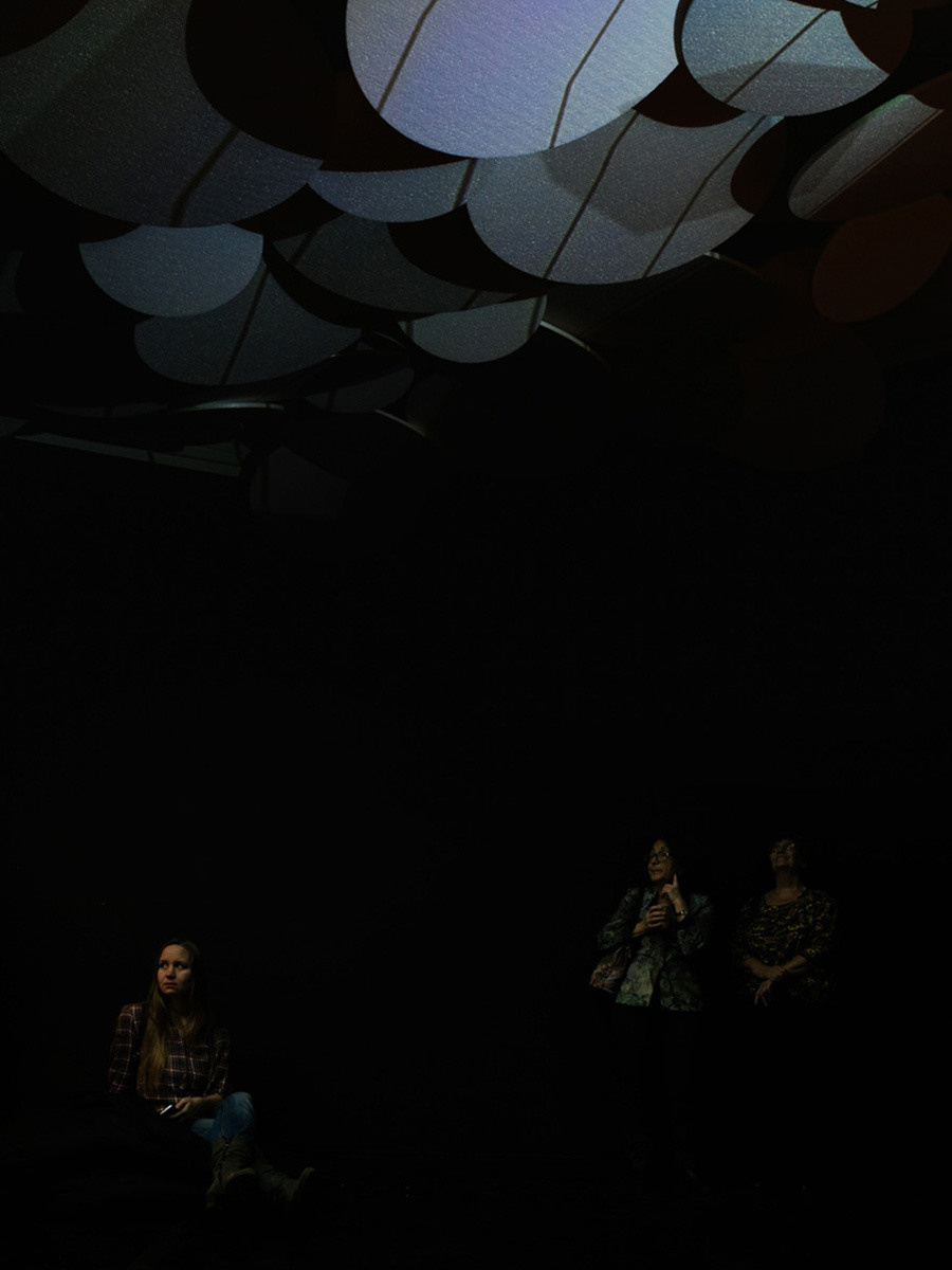 Художественная практика Елены Аносовой. Елена Аносова — художница и исследовательница, куратор и лектор