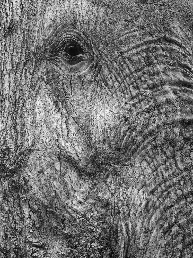 Projects. Landscape Photography by Aleksandr Leshchenok