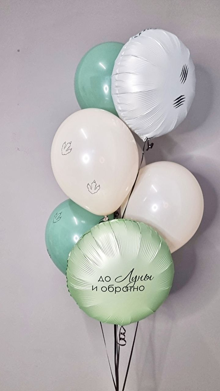 Dostava balona Novi Sad Dostava balona Beograd. Шары с гелием, фотозоны Нови Сад Белград. Balone i dekoracije od balona Novi Sad Beograd
