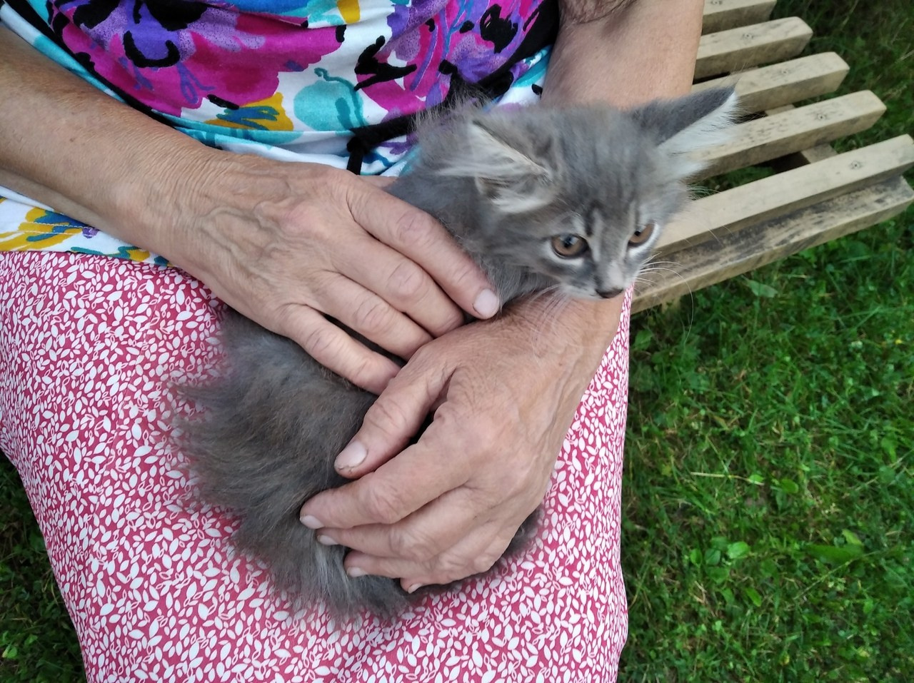 Автор: Александра Харламова