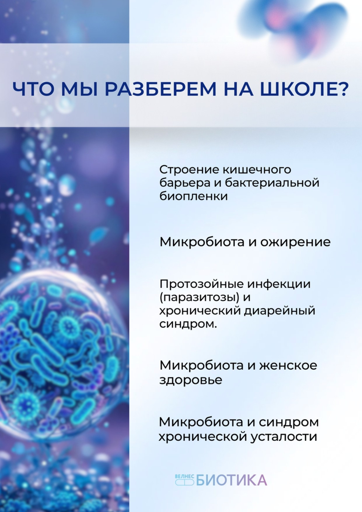 ВедаБиотика. Медицина с душой