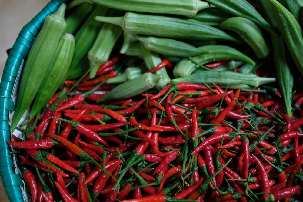 Фототур в Кению. Чунга-чанга