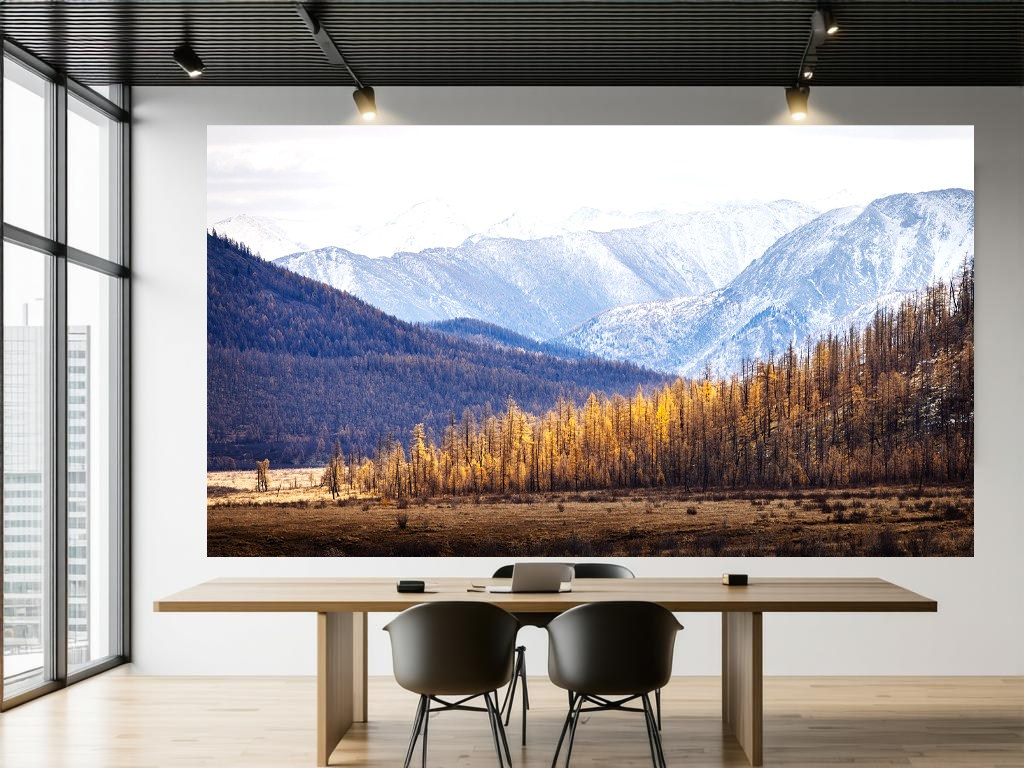 Сибирь. High-quality interior photos for your home, office, hotel