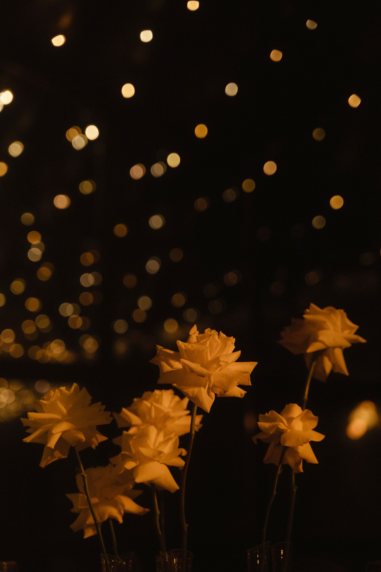 Сергей и Дарья. Свадебный фотограф в Белгороде Антон Каменев