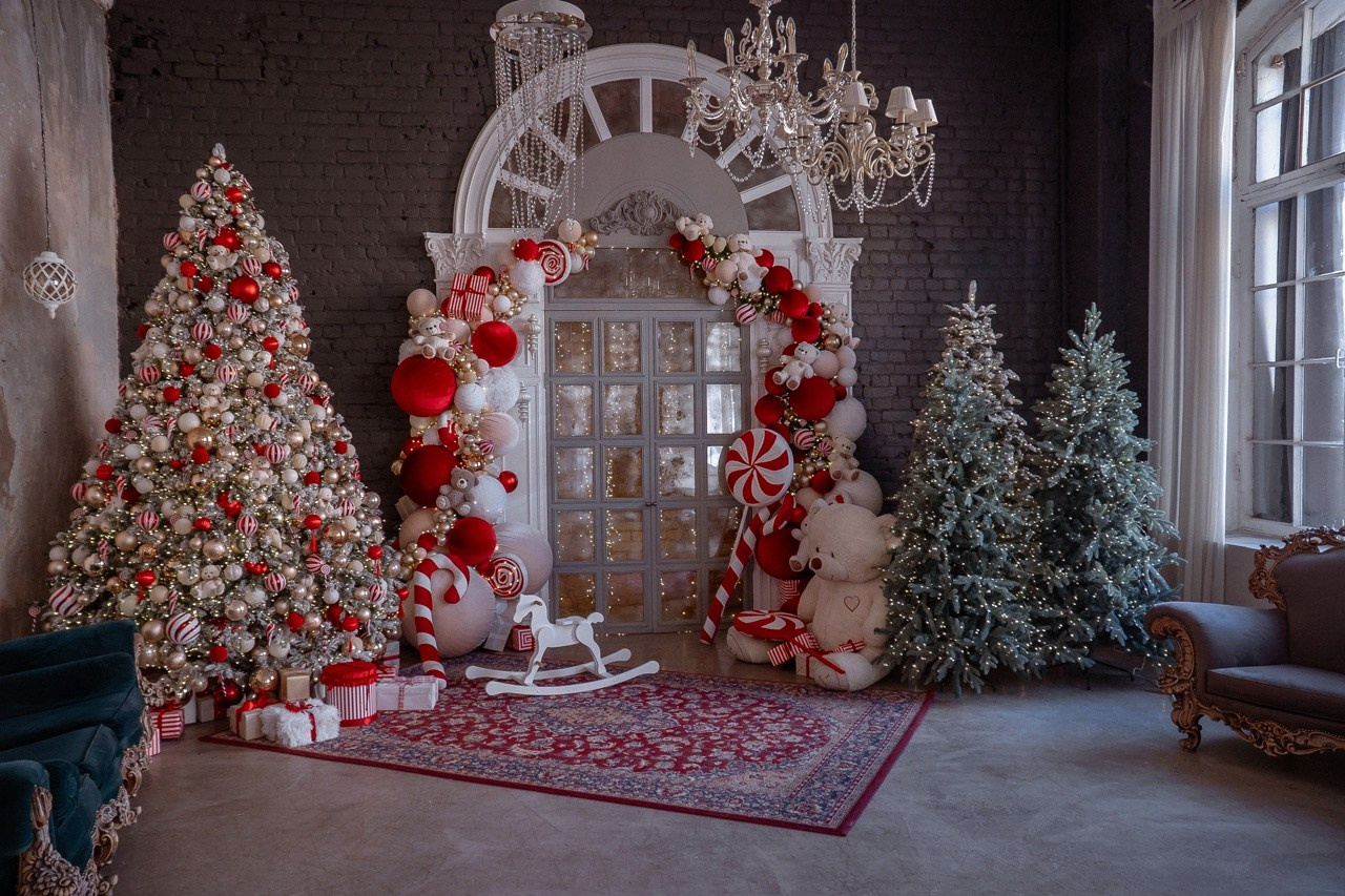 РАСПИСАНИЕ НГ ЗАЛОВ. Семейный фотограф в Санкт-Петербурге Алиса Мохова