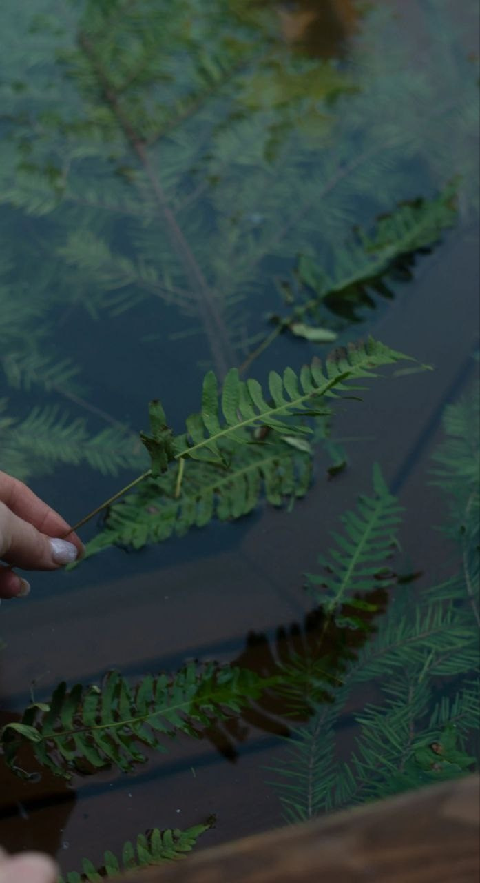 КАРЕЛЬСКАЯ ПЕРЕЗАГРУЗКА. INNERBLOOM TRAVEL-путешествия для авантюристов, мечтателей и настоящих гурманов по России и миру