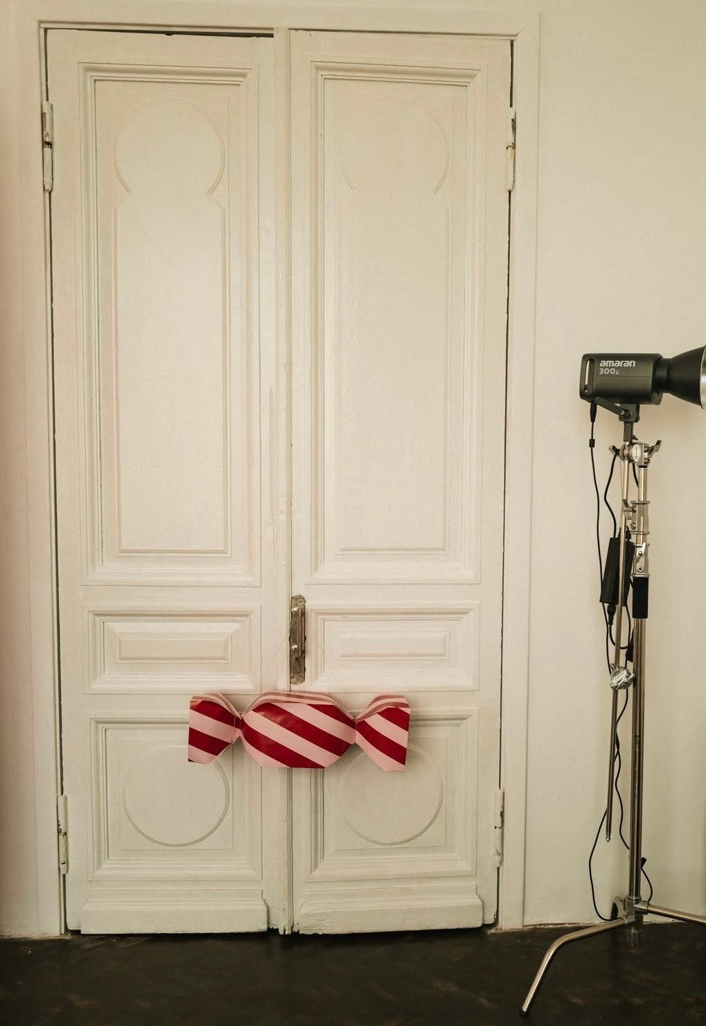 Новогодние фотостудии 2026. Семейный и детский фотограф в Бресте Дария Поляк