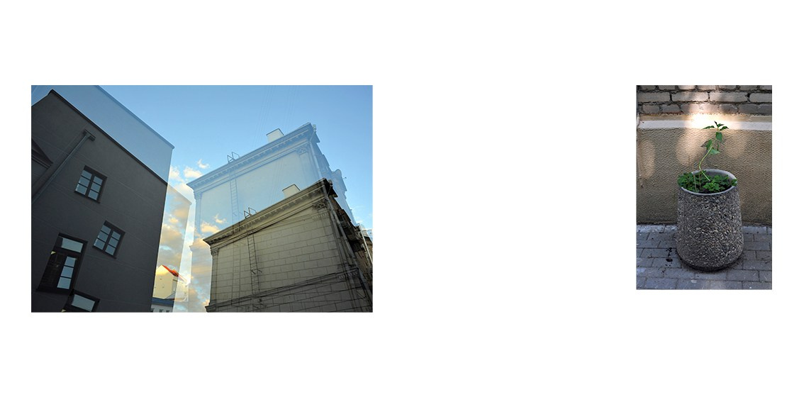 DON'T LET ME DISAPPEAR. Anastasia Segrenyova photography