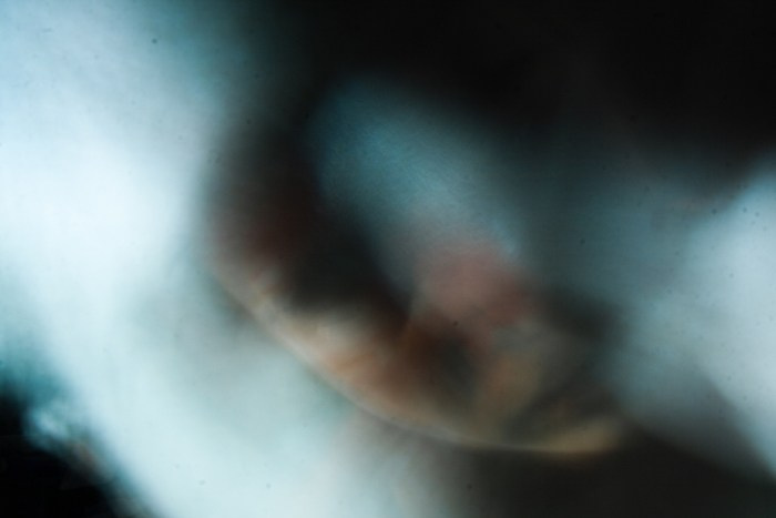 Archive ptoto projects. Янина болдырева Yanina Boldyreva