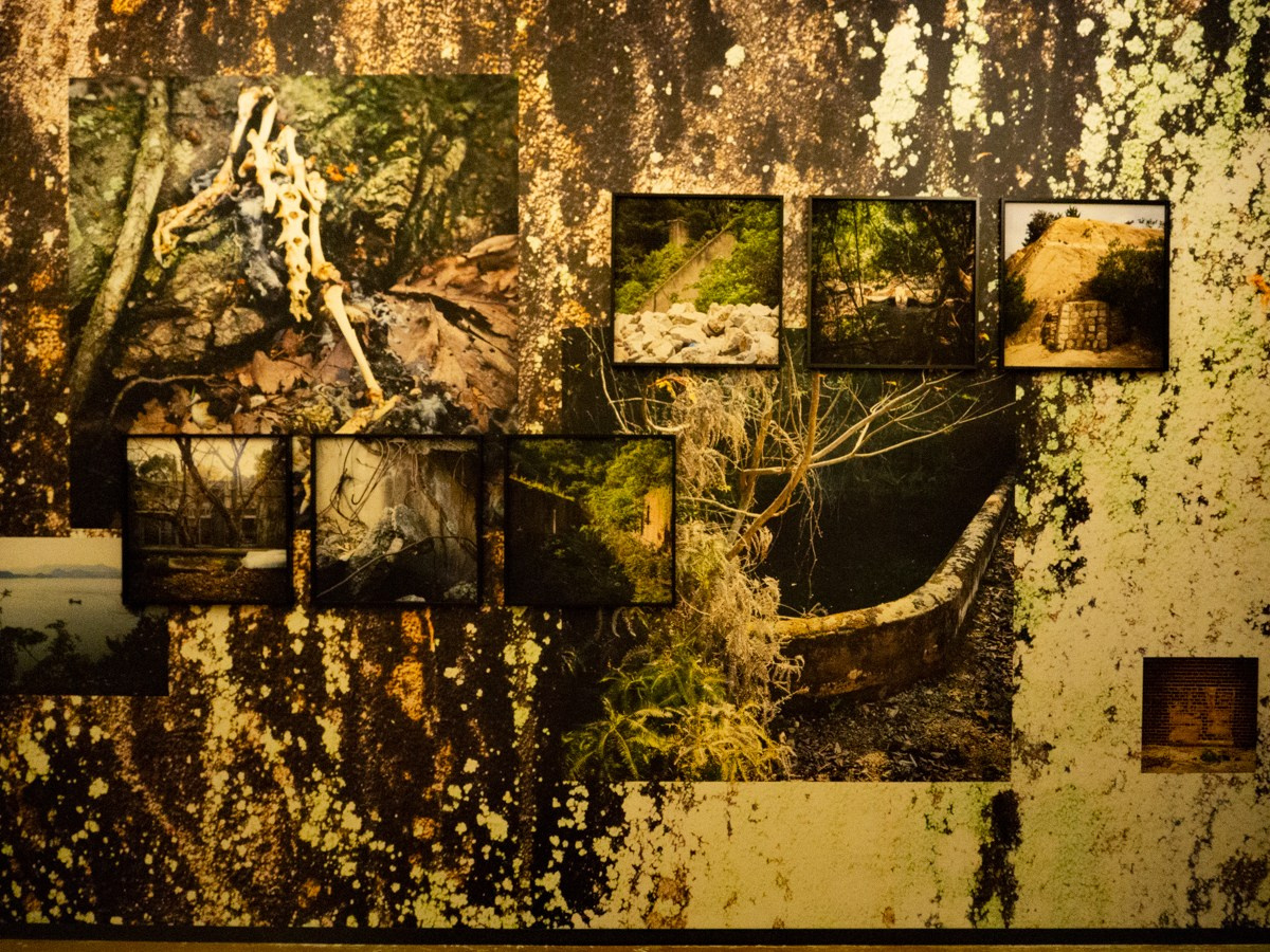 INTERVIEW WITH THE ARTIST: YOSHIKATSU FUJII. Самоорганизация Низина