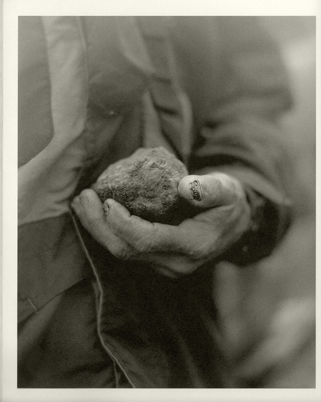 PhMuseum: Неполное руководство по созданию фотокниг — Аллан Салас. Самоорганизация Низина