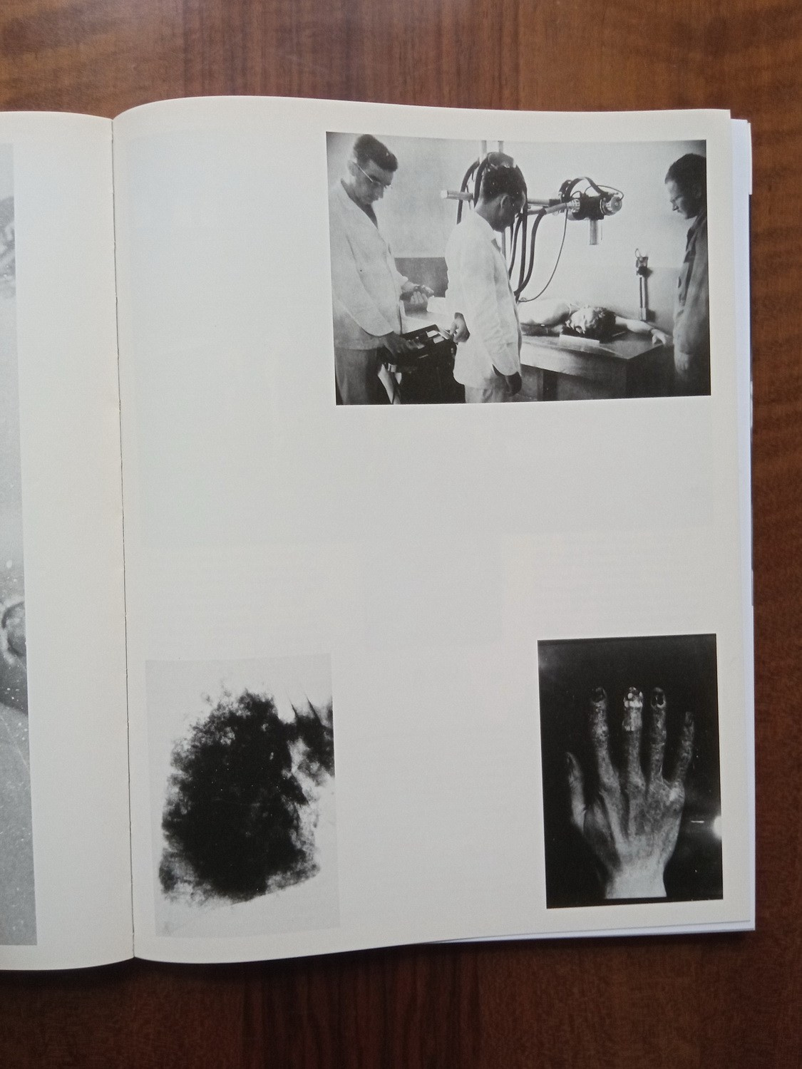 Проект «Worry for the fruit the birds won’t eat» Софи Габриэль. Private image