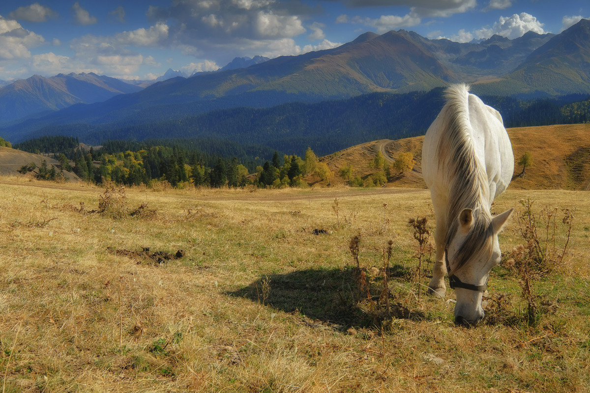 Перевал Пхия
