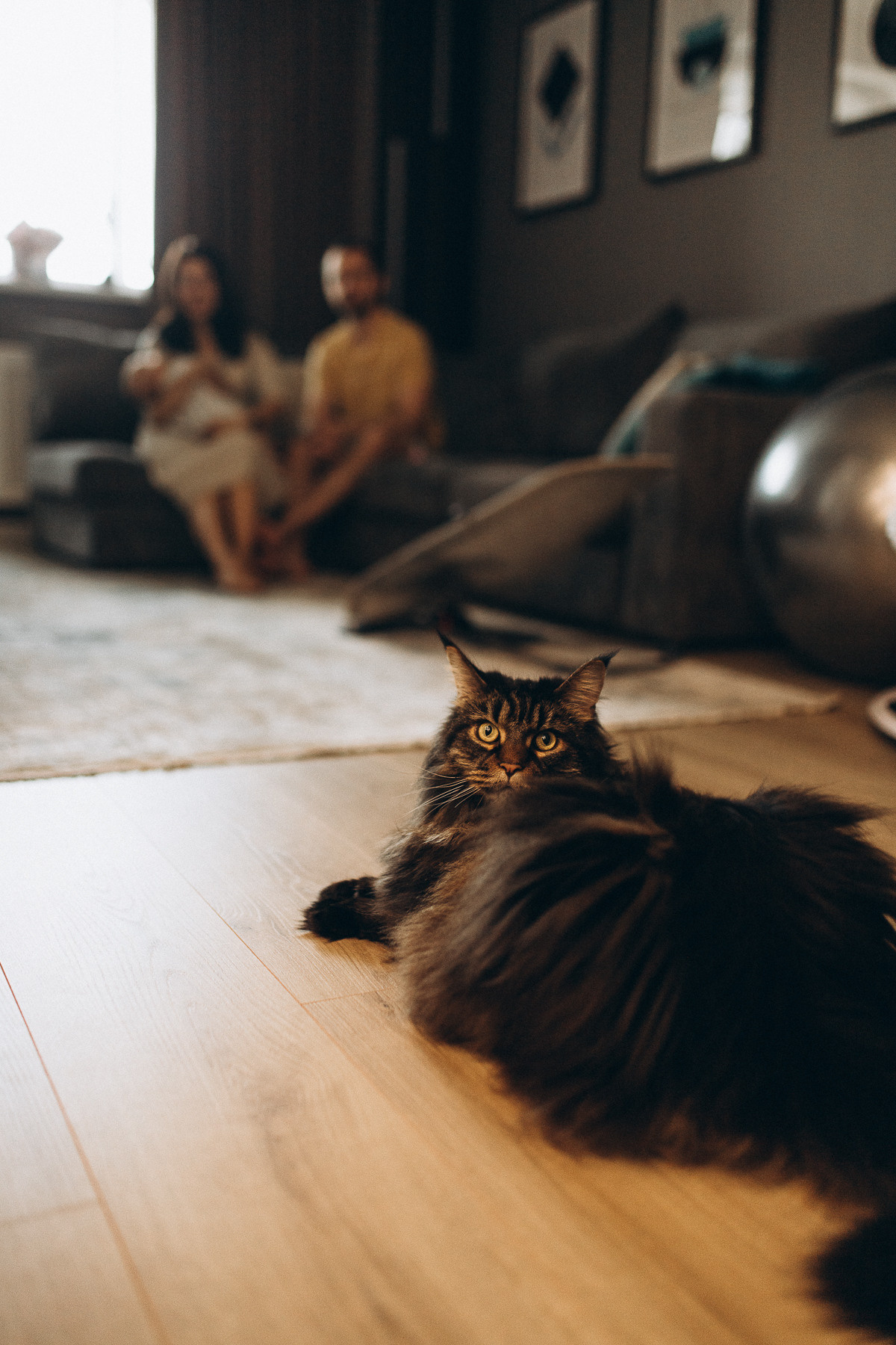 Домашняя фотосессия. Алёна Берёзка фотограф Минск