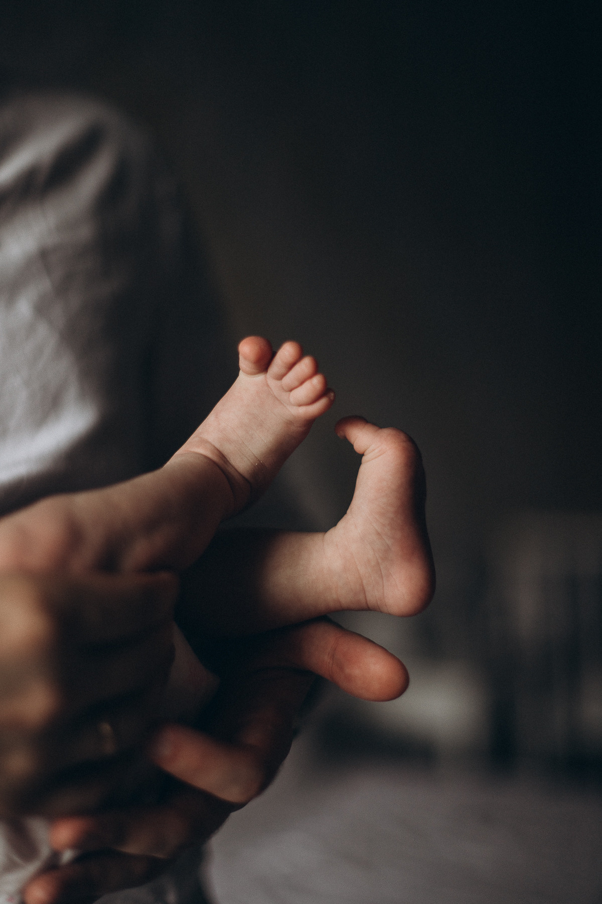 Домашняя фотосессия. Алёна Берёзка фотограф Минск