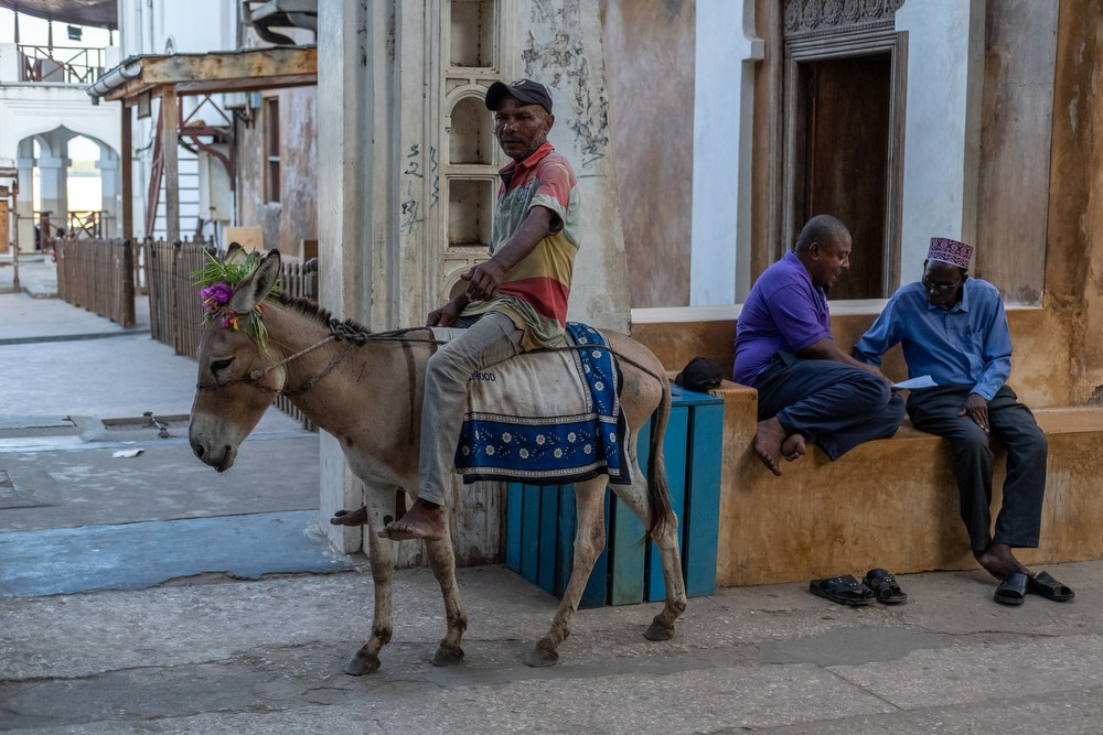 Фототур в Кению. Чунга-чанга