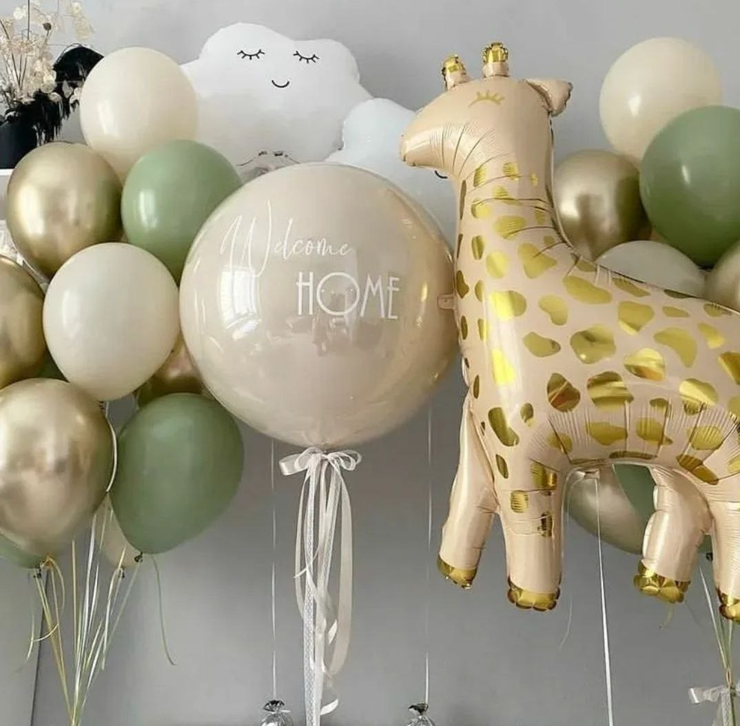 Balino prvi rodendan dostava balona Novi Sad dostava balonaBeograd. Шары с гелием, фотозоны Нови Сад Белград. Balone i dekoracije od balona Novi Sad Beograd