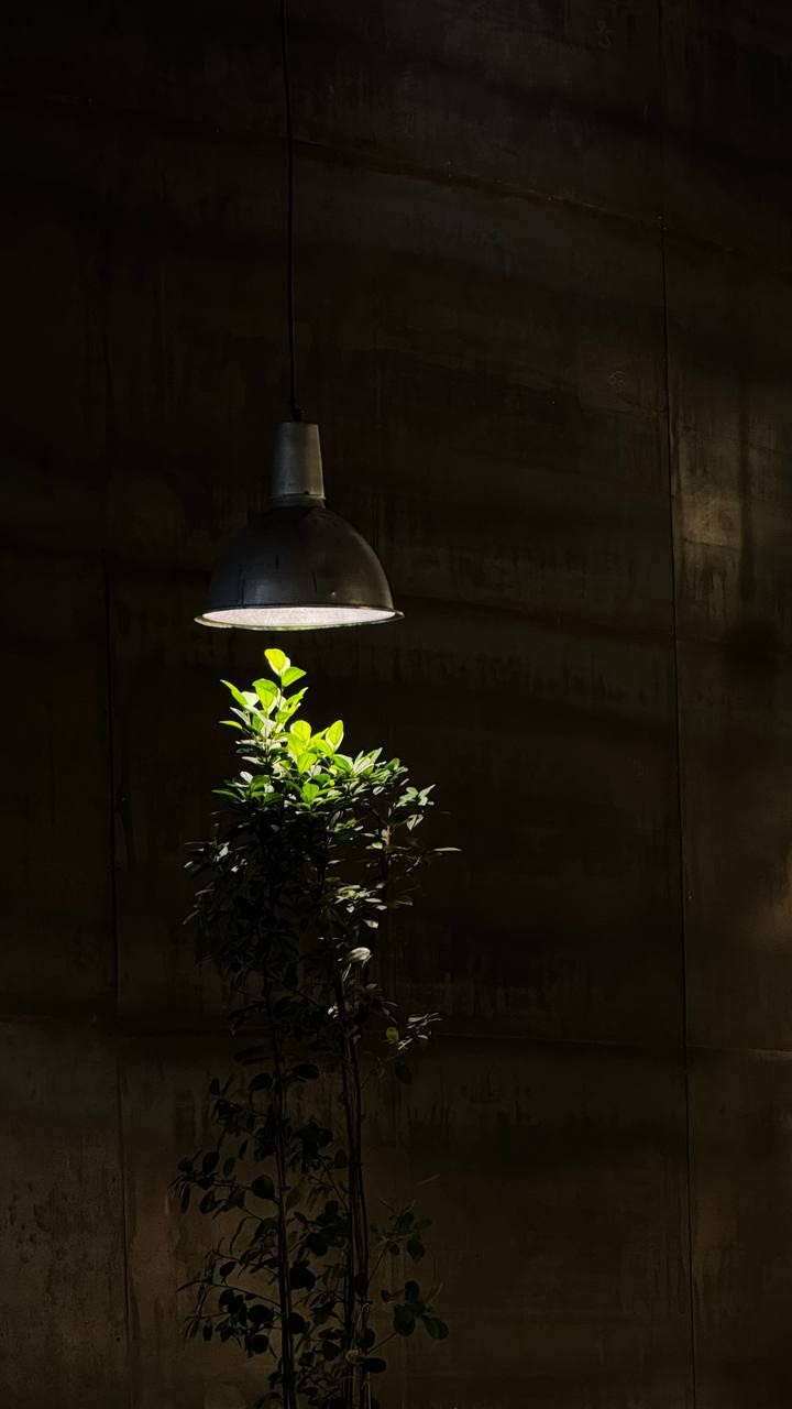 МАРАФОН ФОКУС НА ПРЕКРАСНОМ. Фотограф Анастасия Дмитриева