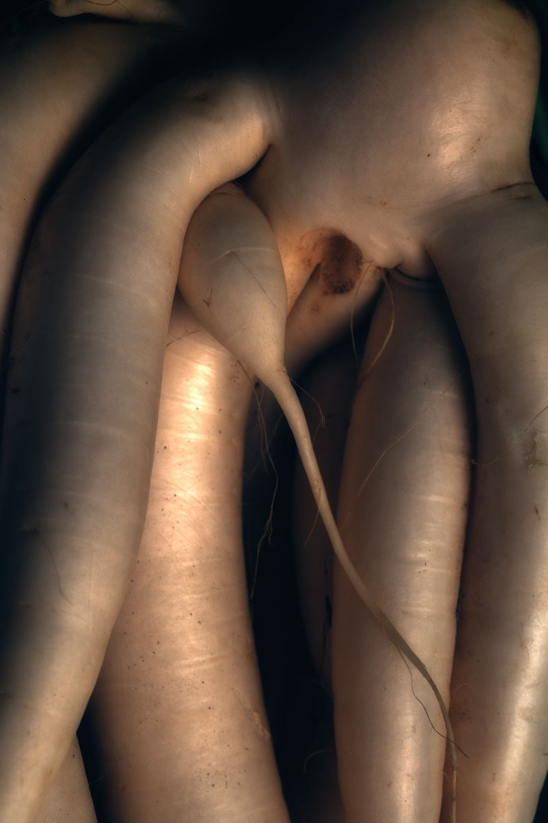 Абстрактный. Самид Али, фотограф из Санкт-Петербурга, Россия