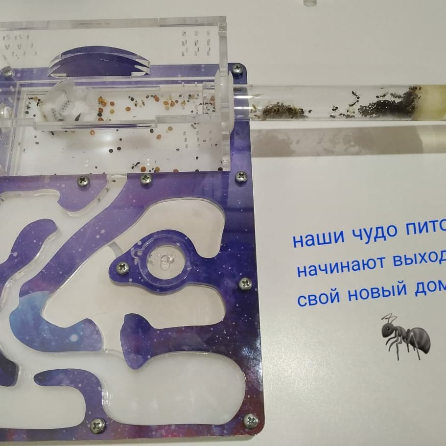 60 лет космической эры: наши дети рисуют звёзды!