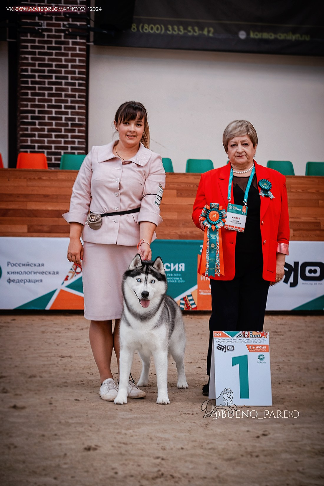 Собаки питомника Bueno Pardo. Питомник собак Акита, Хаски, Корги