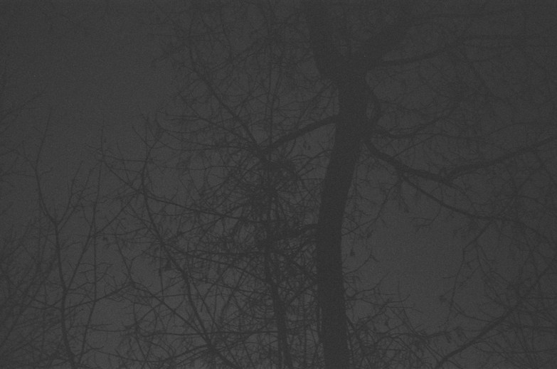 Let there be light. Maria Barakova