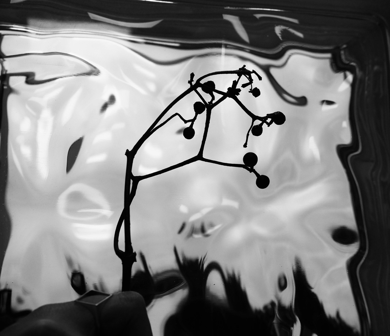 Елена Гонтаренко — художественный портрет. Фотограф в России, Семейный фотограф, репортажный фотограф, детский фотограф, портретный фотограф, контент фотограф, универсальный фотограф